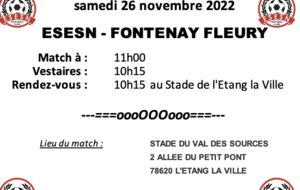 U10/U11 (3)  : ESESN - FONTENAY LE FLEURY