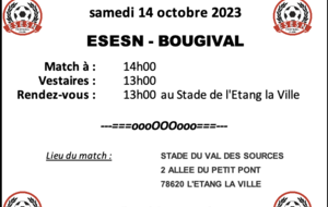U14 : ESESN - BOUGIVAL