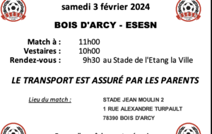 U11 (3)  : BOIS D'ARCY - ESESN